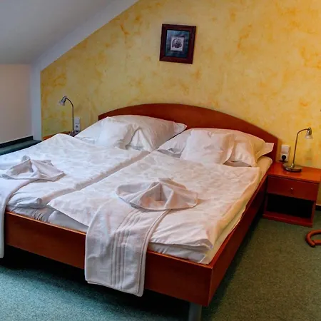 Birdie & Wellness Pardubice