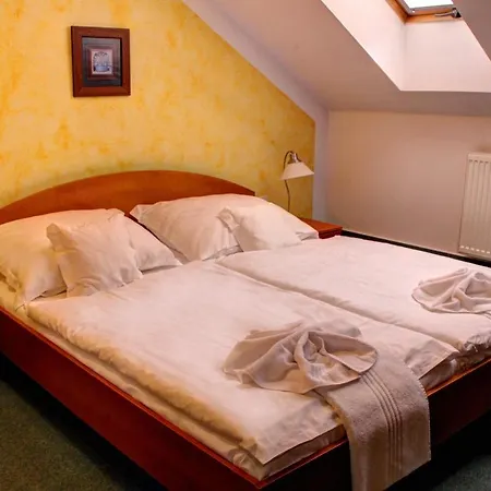 Birdie & Wellness Guest house 3*