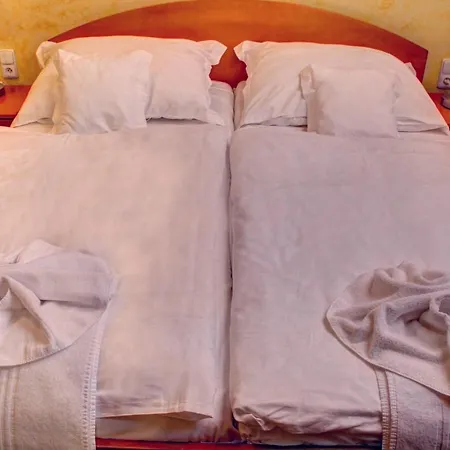 Birdie & Wellness Guest house 3*