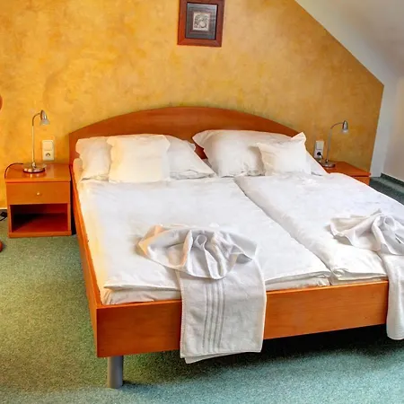 Maison d'hôtes Birdie & Wellness 3*