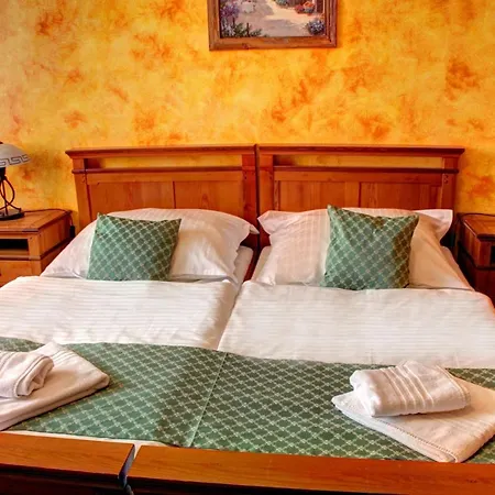 Birdie & Wellness Guest house 3*